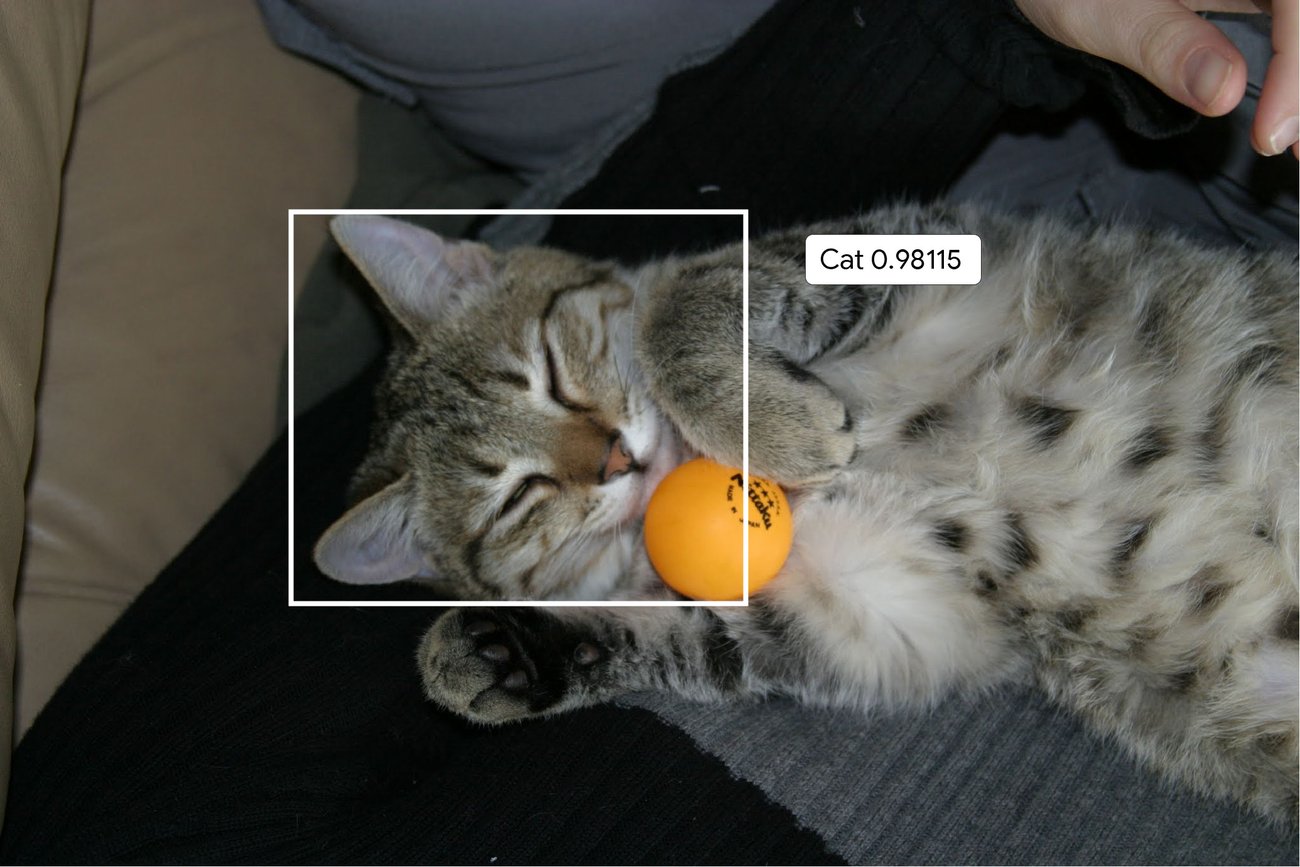 Introducing Machine Learning Practica