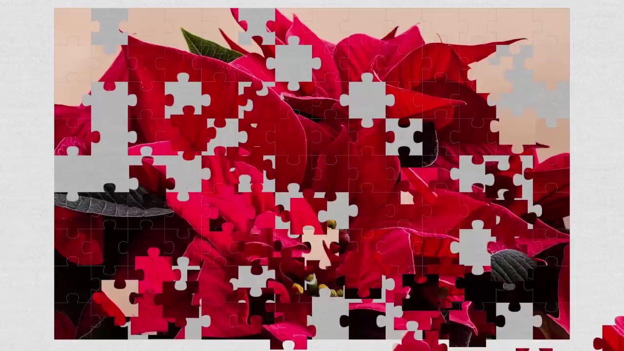 Flowers Jigsaw Puzzle
