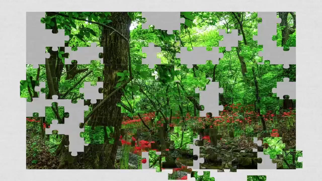 Forest Jigsaw Puzzles