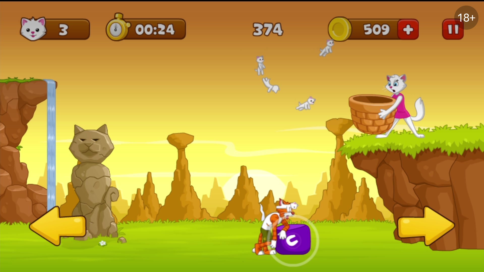 Kediciği kurtar: Erkek ve Kız Oyunları