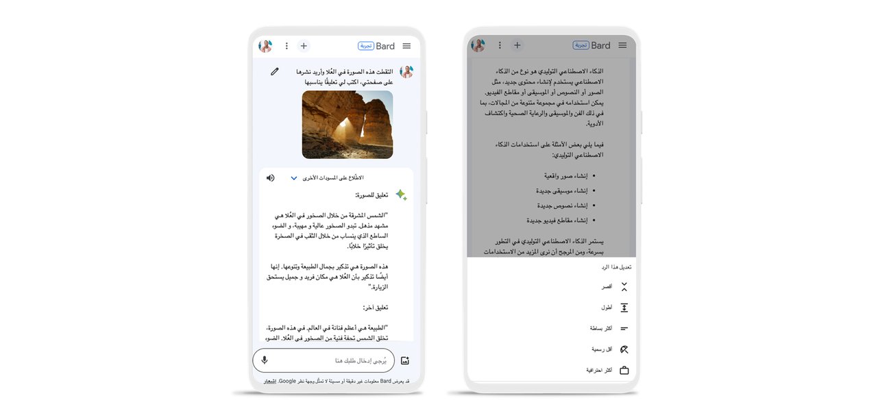Google تطلق إمكانية سؤال Bard باستخدام الصور باللغة العربية
