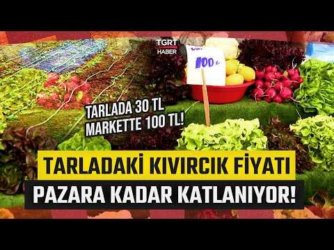 Tarladan Sofraya Gelene Kadar Fiyatı Katlanarak Artıyor! Kıvırcık Nasıl 100 Lira Oldu? – TGRT Haber